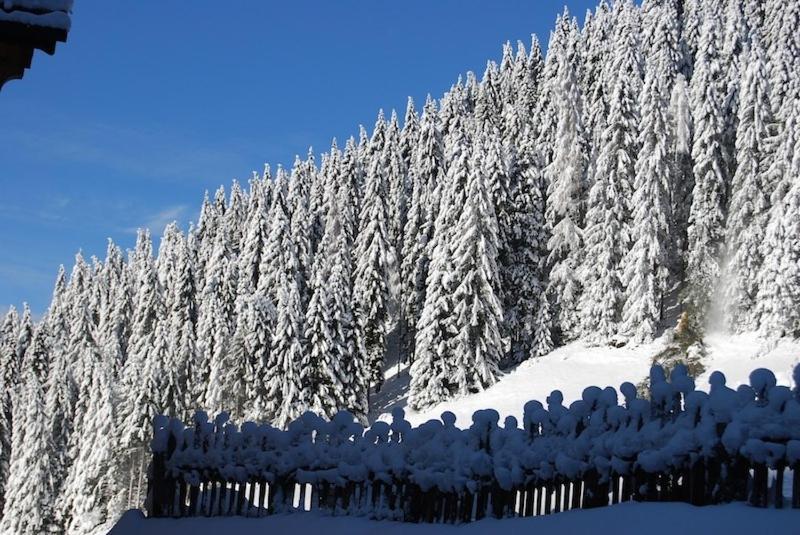 Appartamenti Chalet Orchidea Канацеи Экстерьер фото