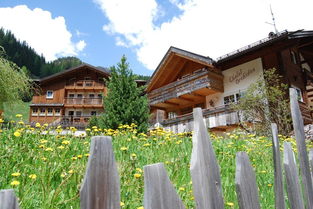 Appartamenti Chalet Orchidea Канацеи Экстерьер фото